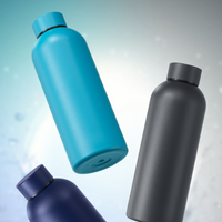 Colorissimo Nordic Thermal Bottle 500ml. Esim. 20kpl. merkkauksella.