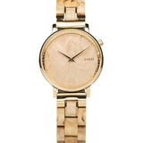 Aarni Lyra valkoisella taustalla.