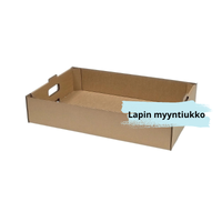 AP Tarjotin 567x388x120mm valkoisella taustalla.